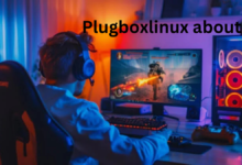 Plugboxlinux about