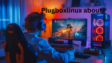 Plugboxlinux about